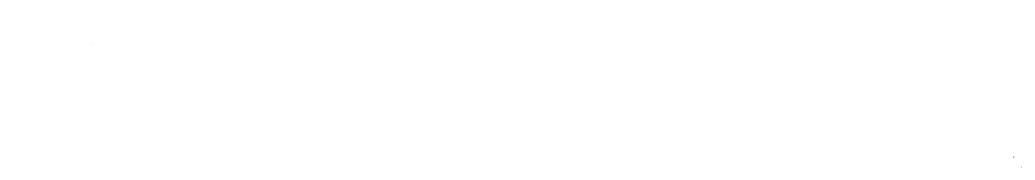 Custom Foods logo