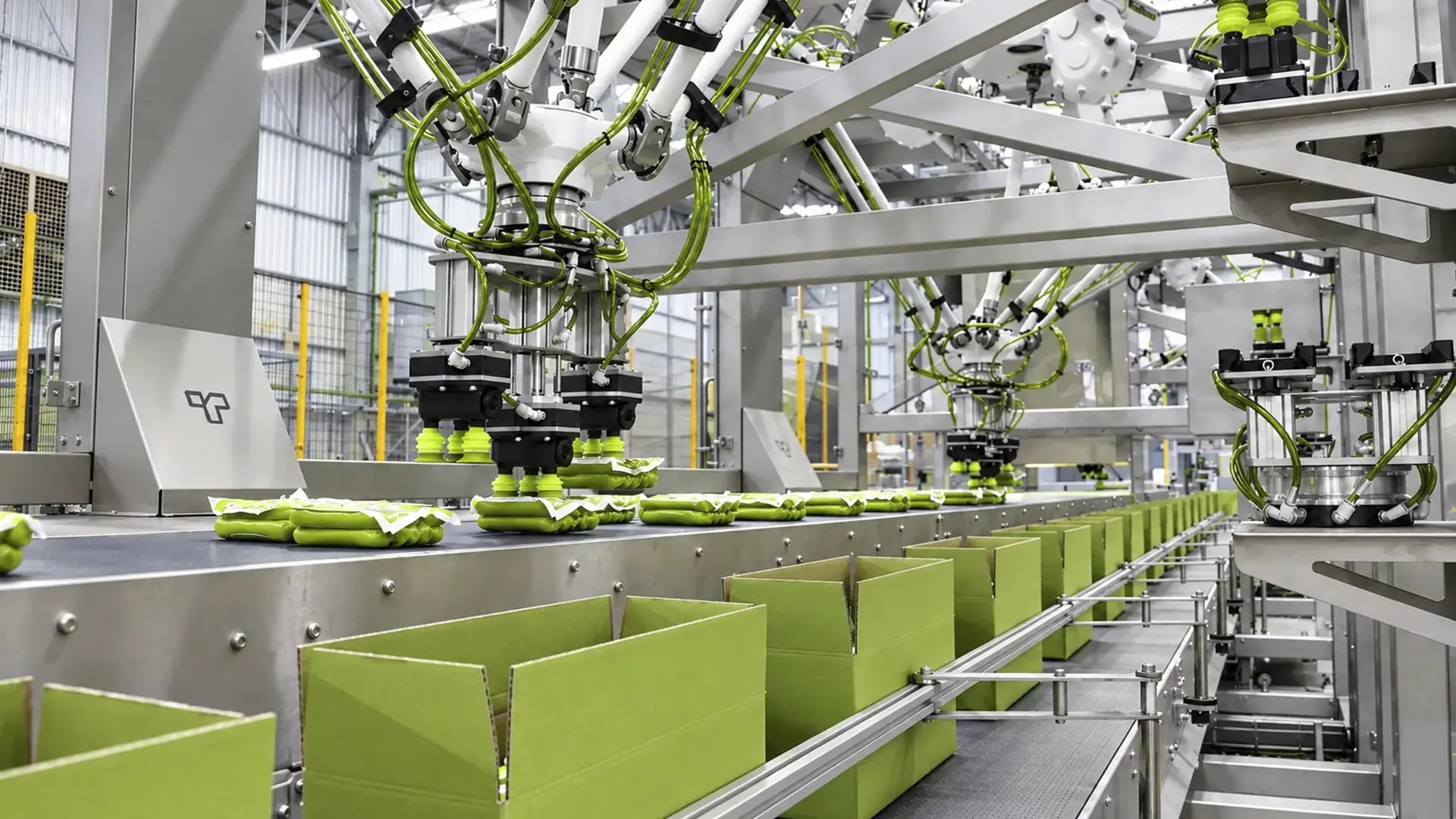 Case packing machine loading products into shipping cases.