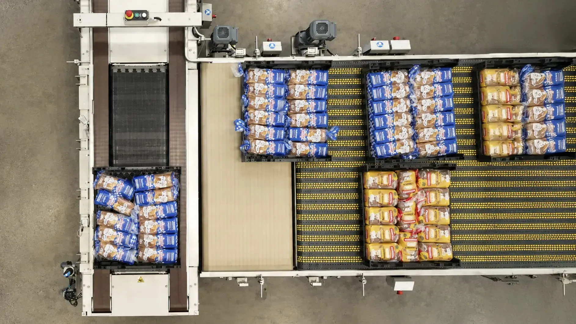 Bakery automation: hygienic conveyor line running wafer and biscuit products at a food plant.