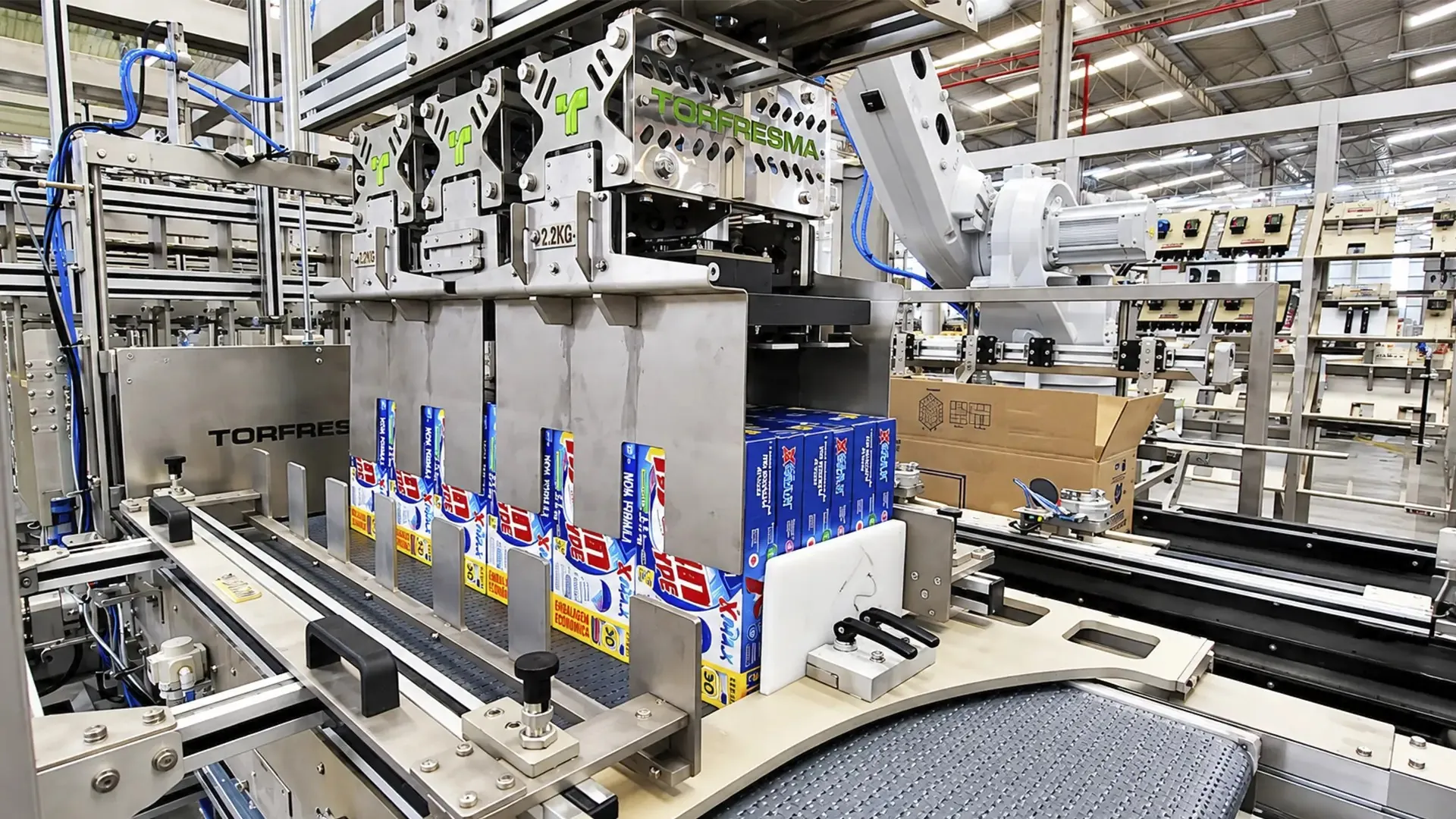 Household product packaging: case conveyors moving cartons toward the end of the line.
