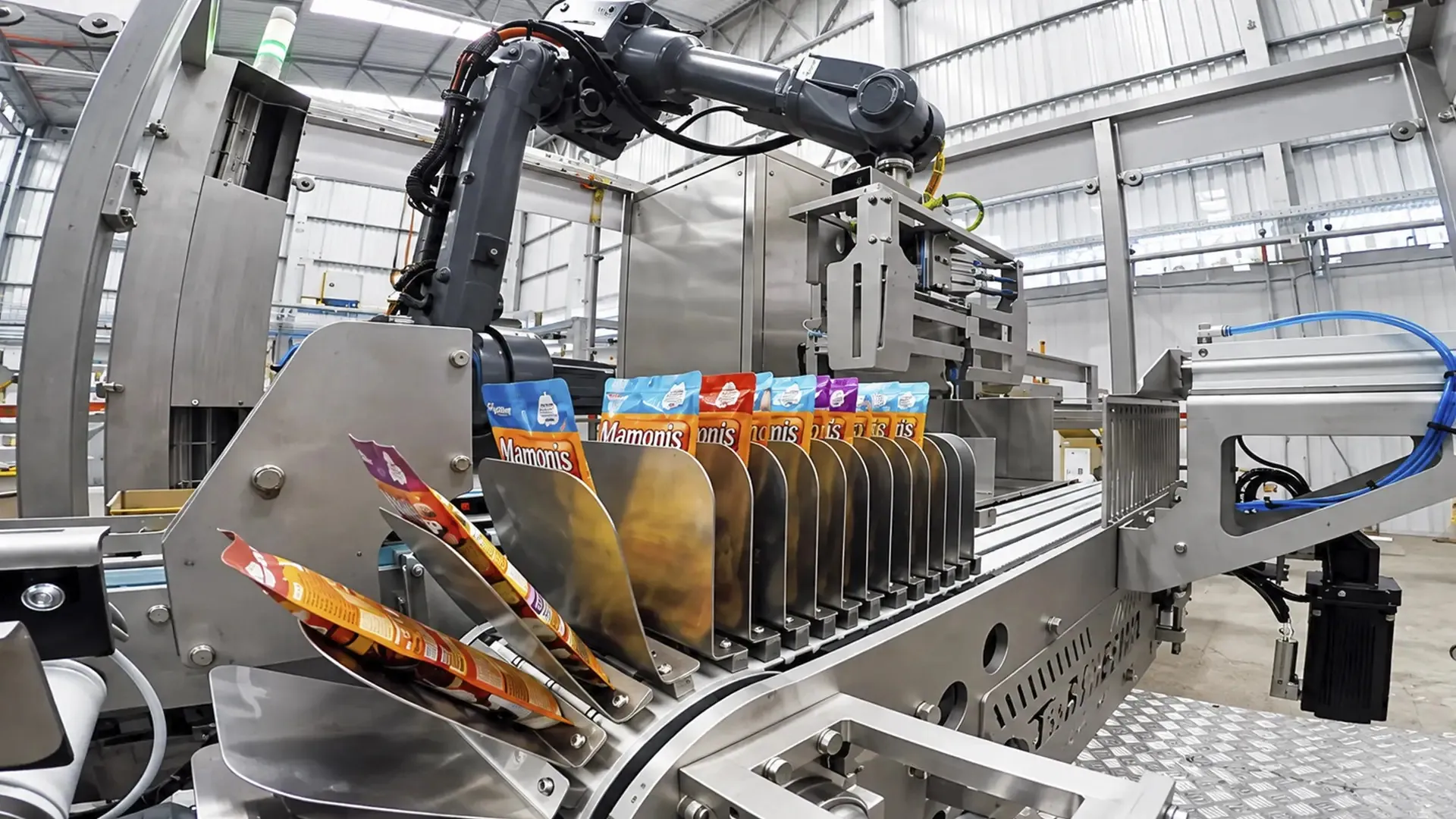 Pet food automation: TRFDroppack drop packer for bags and pouches.