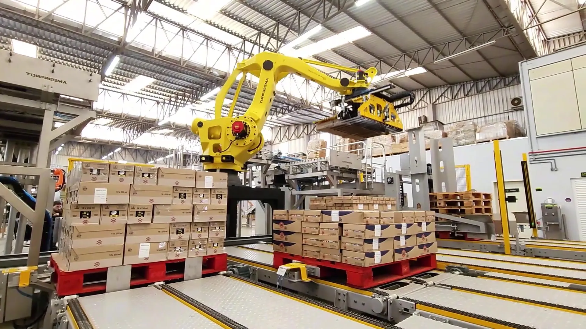 Custom robotic palletizing system built around a specific production layout.