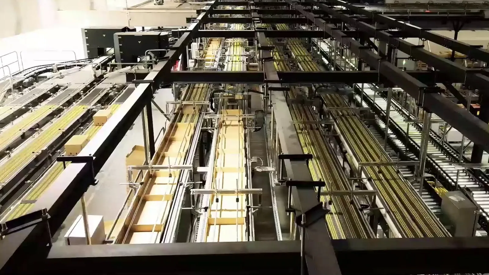 Wide view of a TRFIntraflow line moving cases, trays and totes through a plant.
