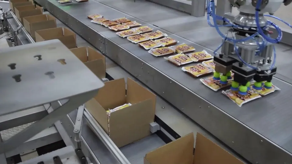 TRFRapidpack robot picking sachets from the product conveyor into cases
